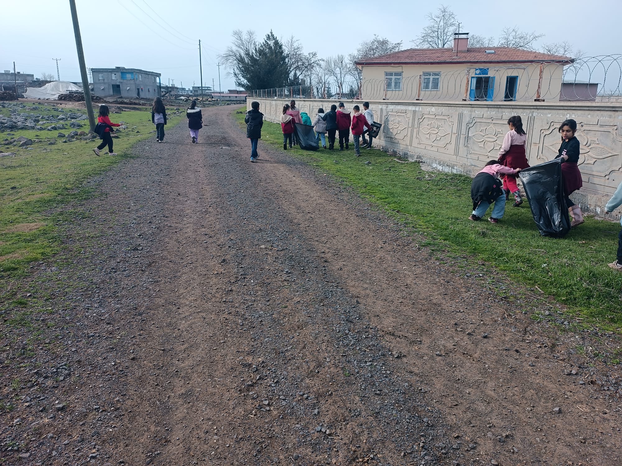 Proje